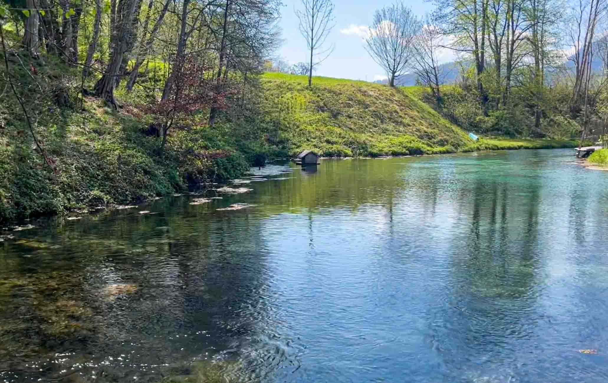 Kristallklares, türkisblaues Wasser der Blauen Quelle in Erl, umgeben von saftig grünen Ufern, Bäumen und einem kleinen Entenhaus im Wasser.
